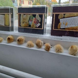  Bildname: 20251011_144453018.jpg