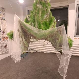  Bildname: 20251128_174042039.jpg