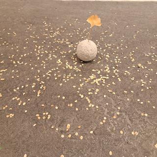  Bildname: 20251128_174117042.jpg