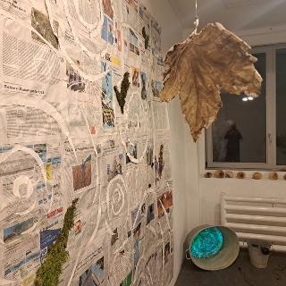  Bildname: 20251128_174135044.jpg