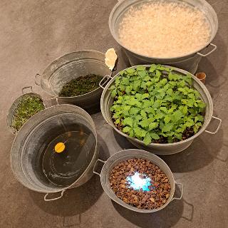  Bildname: 20251128_174314048.jpg