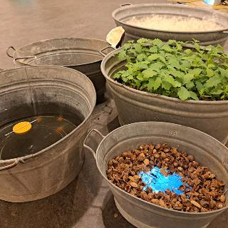  Bildname: 20251128_174530053.jpg