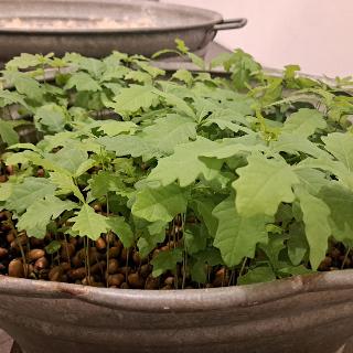  Bildname: 20251128_180624057.jpg