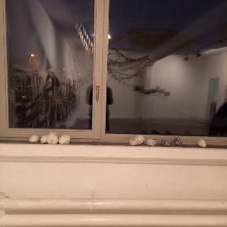  Bildname: 20230129_18002027.jpg