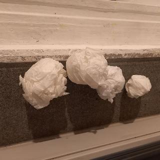  Bildname: 20230129_18003929.jpg