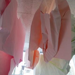  Bildname: nah_hinten.jpg