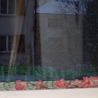  Bildname: verkleinert 011.jpg