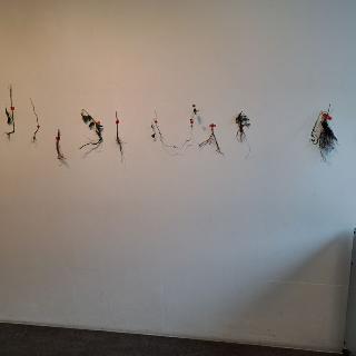  Bildname: 20250504_112502109.jpg