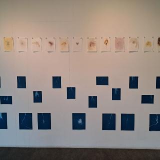  Bildname: 20250504_112550110.jpg