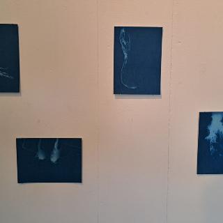  Bildname: 20250504_112930118.jpg