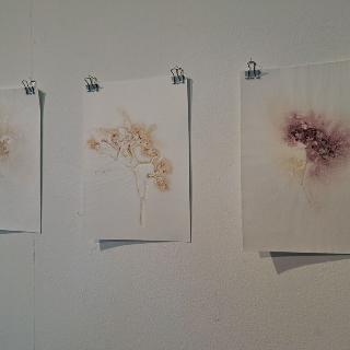  Bildname: 20250504_112939119.jpg