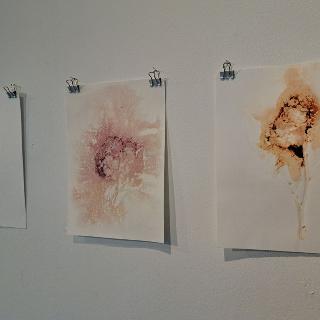  Bildname: 20250504_112946120.jpg