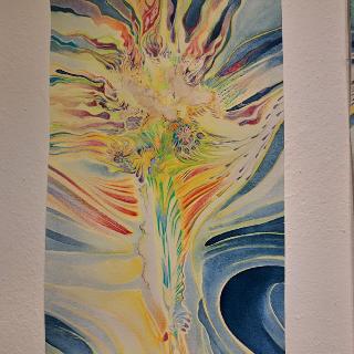  Bildname: 20250504_113029125.jpg