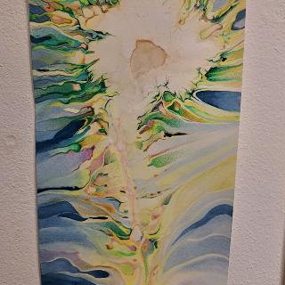  Bildname: 20250504_113038126.jpg