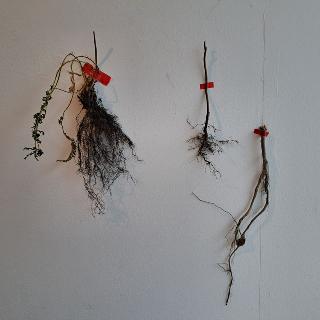  Bildname: 20250504_113101128.jpg