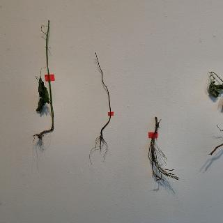  Bildname: 20250504_113110129.jpg