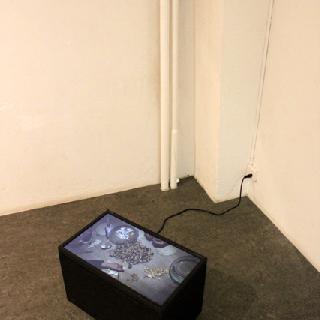  Bildname: Bernhard Huwiler 2.jpg