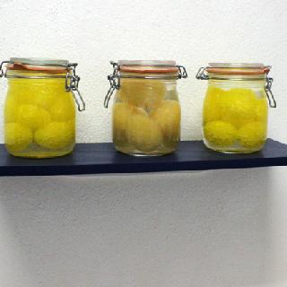  Bildname: Ernesto Nicola Nicolai 1.jpg