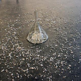  Bildname: Filip Haag 1.jpg