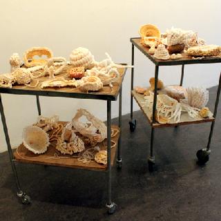  Bildname: Johanna Huguenin 1.jpg