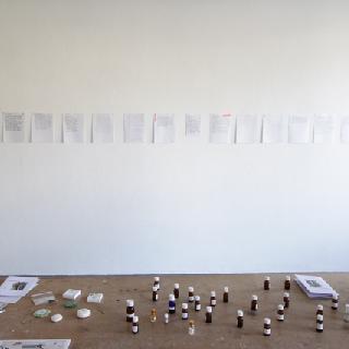  Bildname: MG_006.jpg