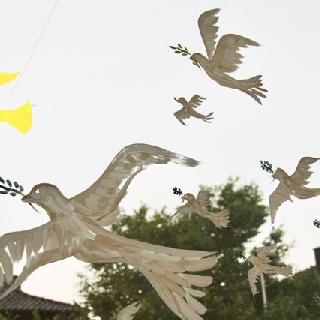  Bildname: IMG_123321.jpg