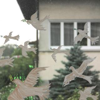  Bildname: IMG_124822.jpg