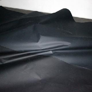  Bildname: IMG_0709.jpg