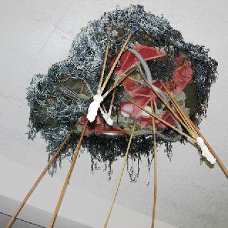  Bildname: Wucherung-an-der-Decke.jpg