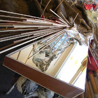  Bildname: Wucherung.jpg