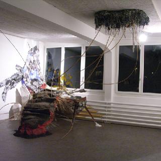  Bildname: Wucherung1.jpg