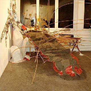  Bildname: Wucherung4.jpg