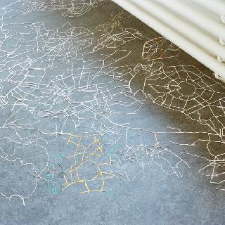  Bildname: plexus3.jpg