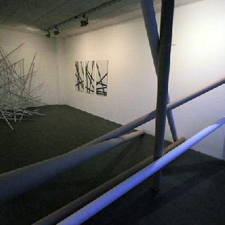  Bildname: Lauinger-gepard14-12.jpg