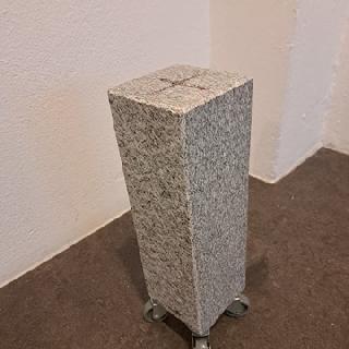  Bildname: 20260124_085957.jpg