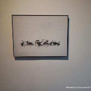  Bildname: 20260124_092903.jpg