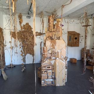  Bildname: 20220325_12442010.jpg