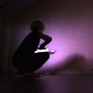  Bildname: Vogel 1.jpg