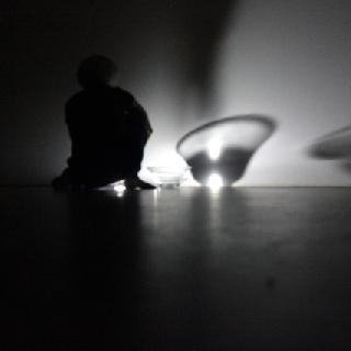  Bildname: Vogel 2.jpg