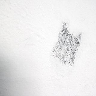  Bildname: 004.jpg