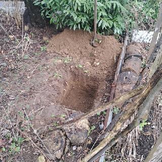  Bildname: 20260131_131710.jpg