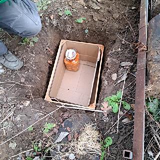  Bildname: 20260201_171136.jpg