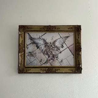  Bildname: IMG-20220820-WA0002.jpg