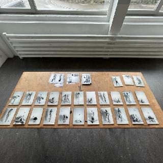  Bildname: IMG-20220820-WA0008.jpg