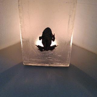  Bildname: IMG_20220819_18205901.jpg