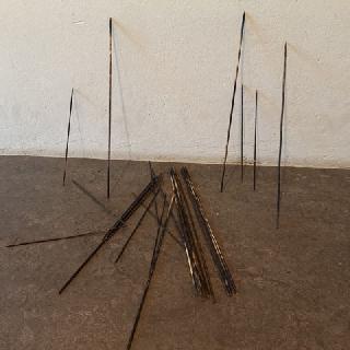  Bildname: 20210716_18103812.jpg