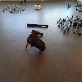  Bildname: 20210716_18122319.jpg