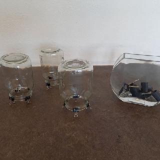  Bildname: 20210716_18134525.jpg