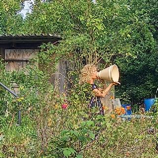  Bildname: 20210725_17261444.jpg