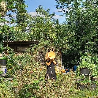  Bildname: 20210725_17263145.jpg